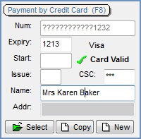 The "Payment by Credit Card (F8)" section appears towards the top right of the Sales Order screen's Payment tab (a test credit card account number is shown here; not a real payment card's details).
