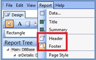 Basic Reports Header and Footer